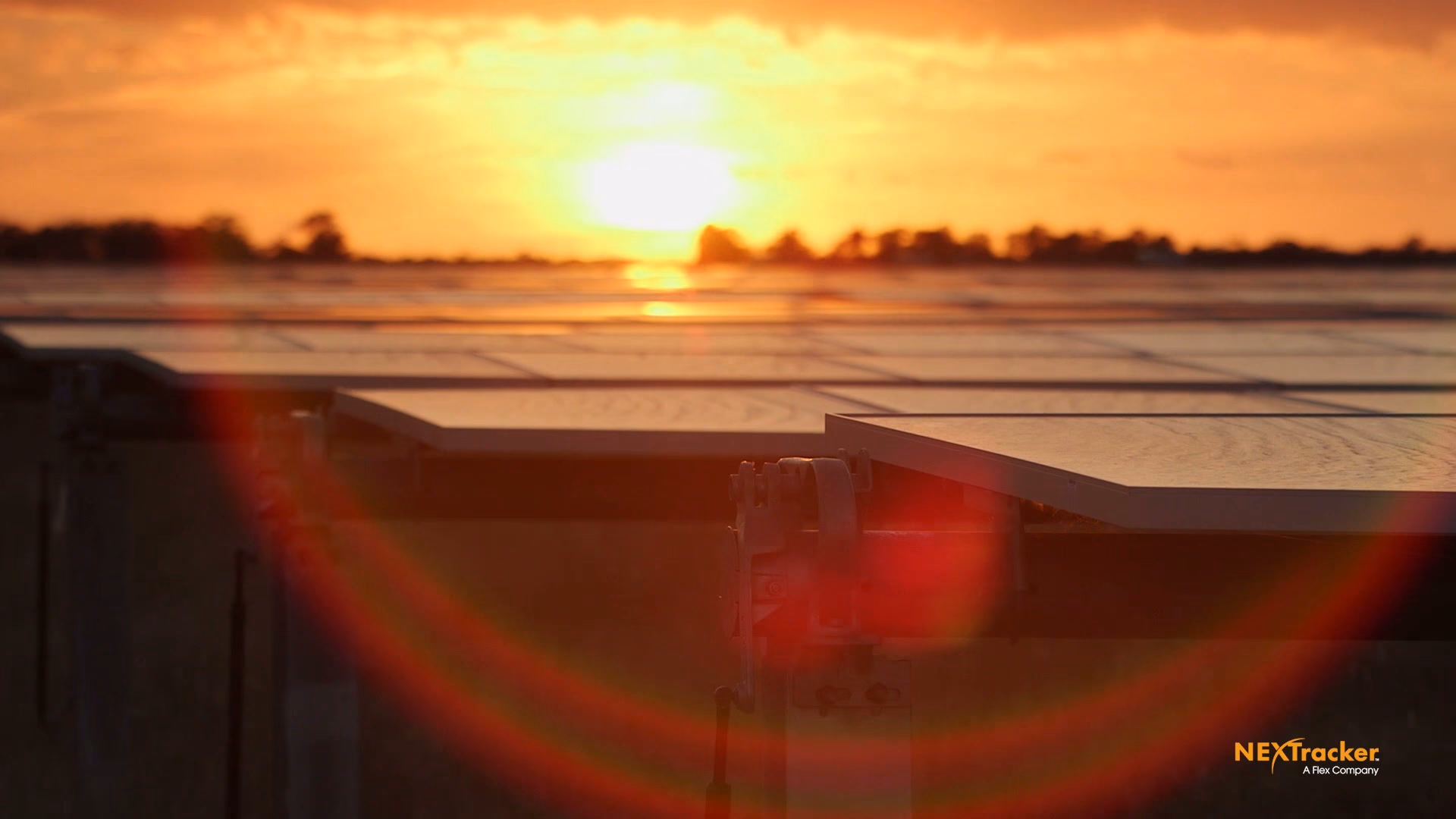 NX trackers tilted into a low sun at dusk, lens flare sweeping across the field